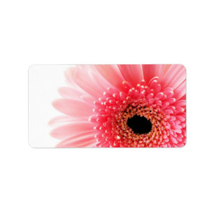 Étiquette Affiche Gerbera Daisy