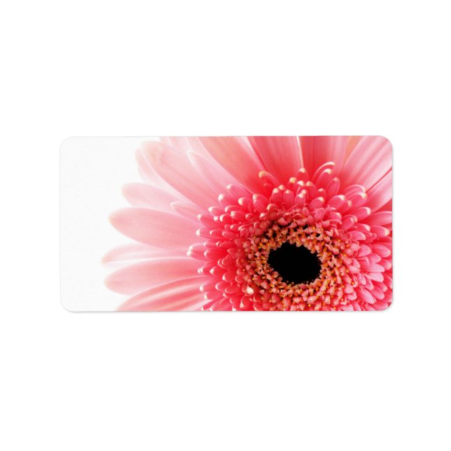 Étiquette Affiche Gerbera Daisy (Devant)