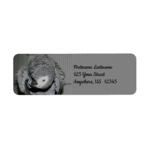 Étiquette African Grey Parrot mignon Bird #2 Adresse