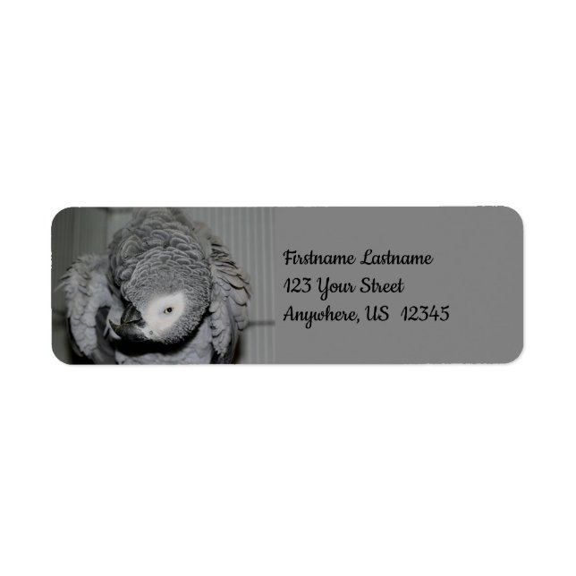 Étiquette African Grey Parrot mignon Bird #2 Adresse (Devant)