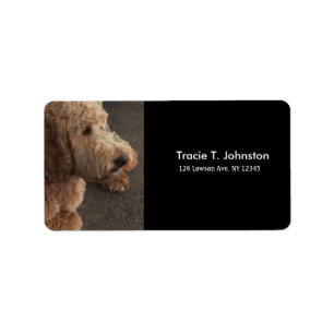 Étiquette Airedale Terrier Nouvelle adresse