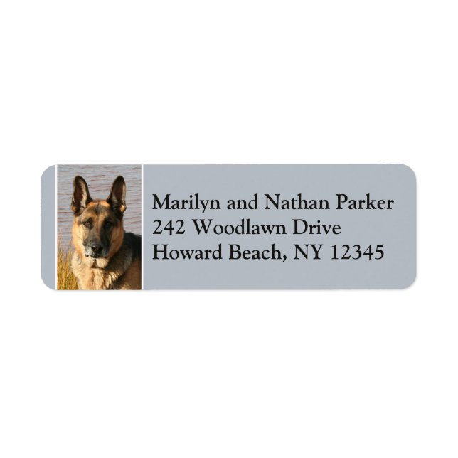 Étiquette Allemand Berger Chien Visage Adresse de retour Lab (Devant)