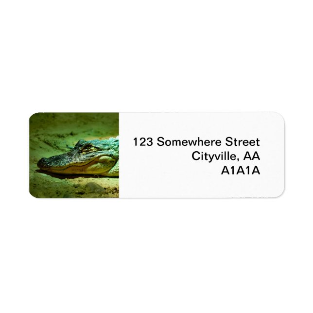 Étiquette Alligator (Devant)