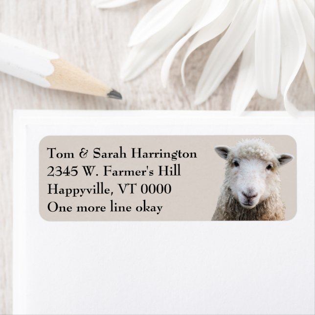 Étiquette Animaux de ferme d'agneaux de mouton (En situation)