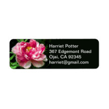 Aquarelle rose blanche pivoine fine florale