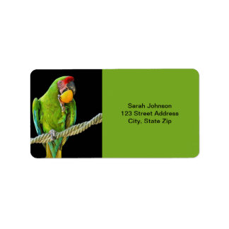 Étiquette Ara Militaris Green Parrot