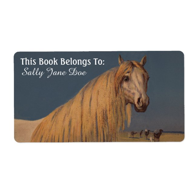 Étiquette Arabian Desert Dream Horse Boites de livres Étique (Devant)
