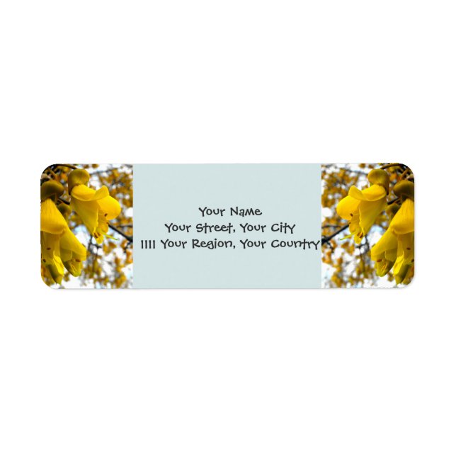 Étiquette Arbre de Kowhai (Devant)