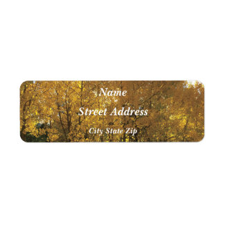 Étiquette Arbres de peuplier