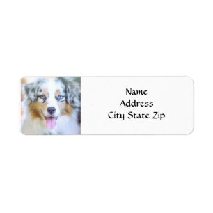 ÉTIQUETTE *AUSTRALIAN SHEPHERD* RETURN ADDRESS LABEL