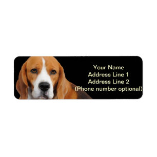 Étiquette Autocollant d'adresse de beagle