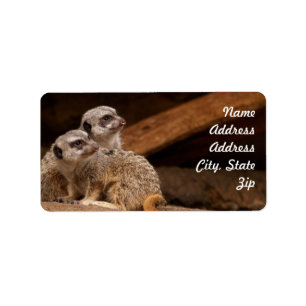 Étiquette Autocollant d'adresse de suricate
