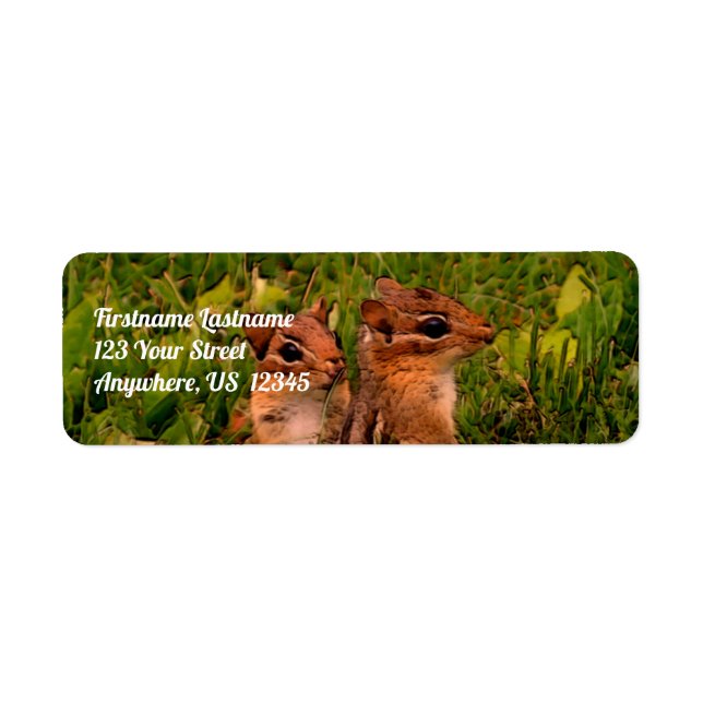 Étiquette Baby Chipmunks Wildlife Animal Art Adresse (Devant)