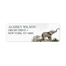 Baby shower Elephant Boy