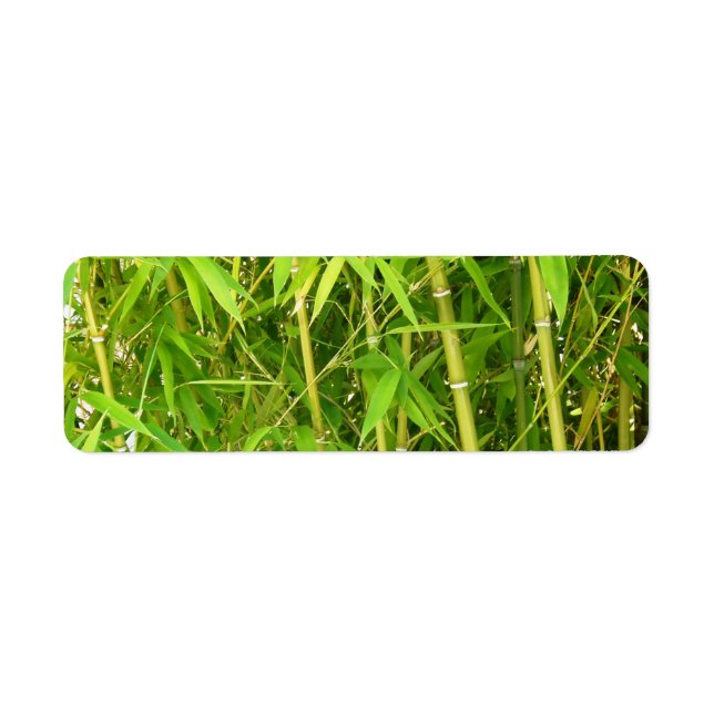 Étiquette Bambou (Devant)