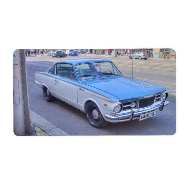 Étiquette Barracuda (Devant)