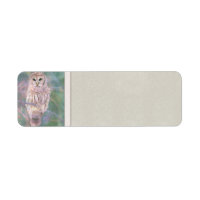 Barred Owl Pastel Oilpaint