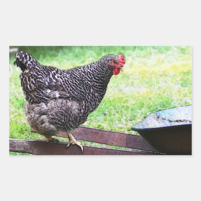 Étiquette Barred Rock Hen Sur Roue (Devant)
