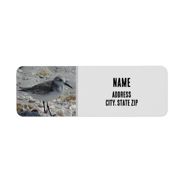 Étiquette Beach Bird Nature Photo Gris Animal côtier (Devant)