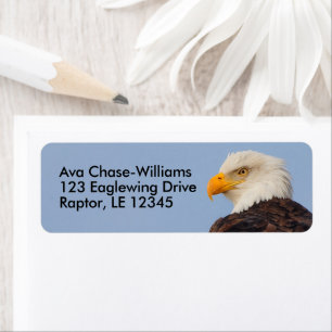 Étiquette Beau Aigle à tête blanche Oiseau de proie dans l'a