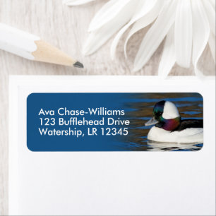 Étiquette Beau canard à tête de lit à l'étang d'hiver