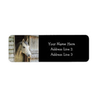 Beau cheval et grange rustique