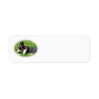 Étiquette Beau chien de Boston Terrier sur l'herbe avec bâto