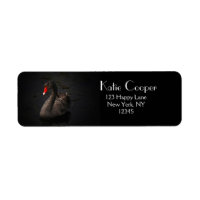 Beau cygne noir avec un bec rouge vif