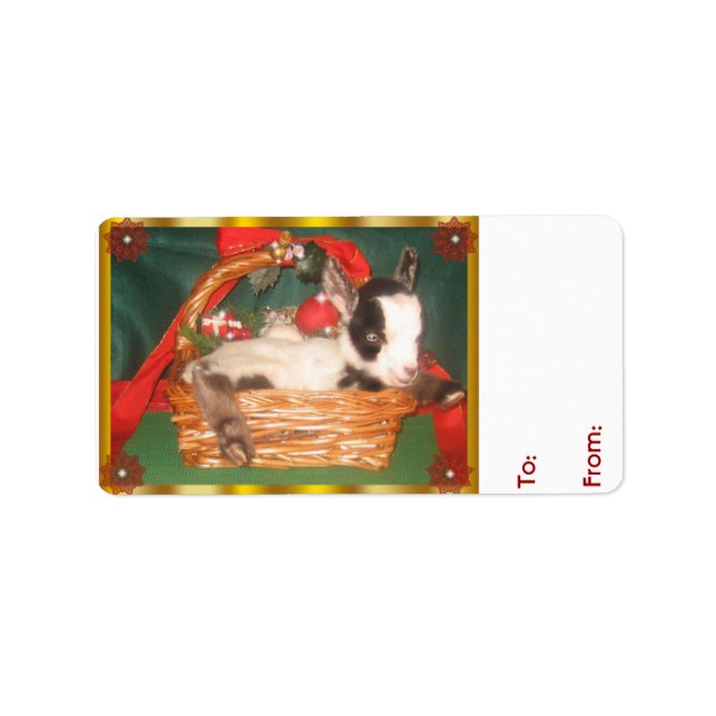 Étiquette Bébé mignon Myotonique chèvre Noël Balise cadeau (Devant)