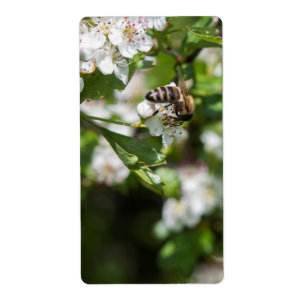 Étiquette Bee collects pollen