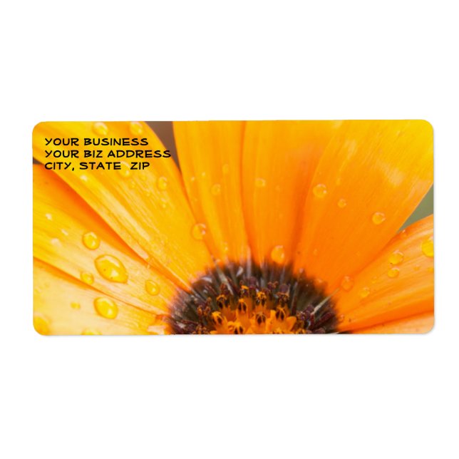 Étiquette Belle Orange Daisy Demi-Gros plan Photo (Devant)