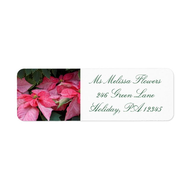 Étiquette Belle photo de Noël Poinsettia (Devant)