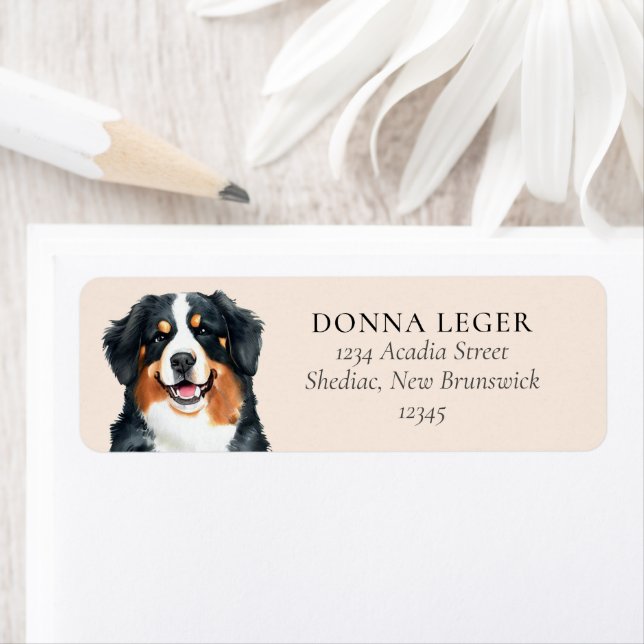 Étiquette Bernese Mountain Dog Adresse personnalisée (En situation)