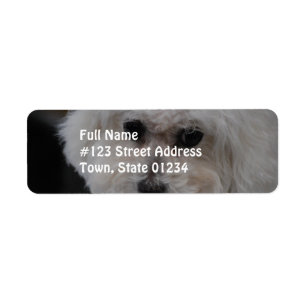Étiquette Bichon doux Frise