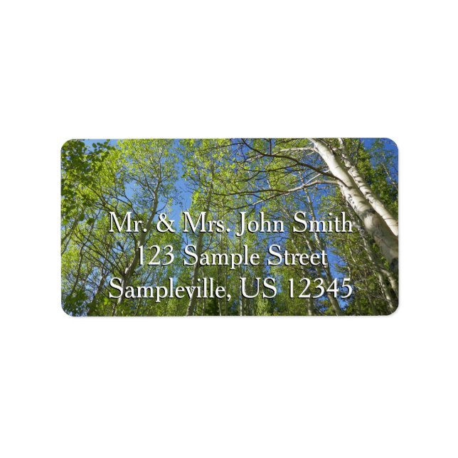 Étiquette Birch Trees d'été à Rocky Mountain (Devant)