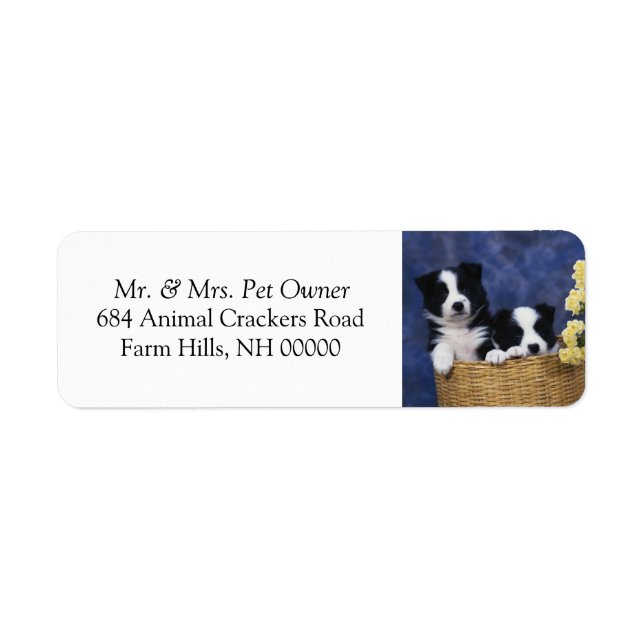 Étiquette Black White Puppies Retourner Adresse E-mail Stick (Devant)
