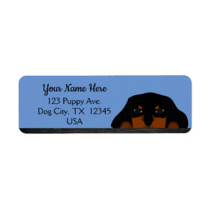 Étiquette Blue Cavalier King Charles Spaniel Chien chiot