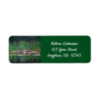 Blue Heron Réflexions Animal Peinture Adresse
