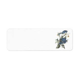 Étiquette Blue Jay par Audubon