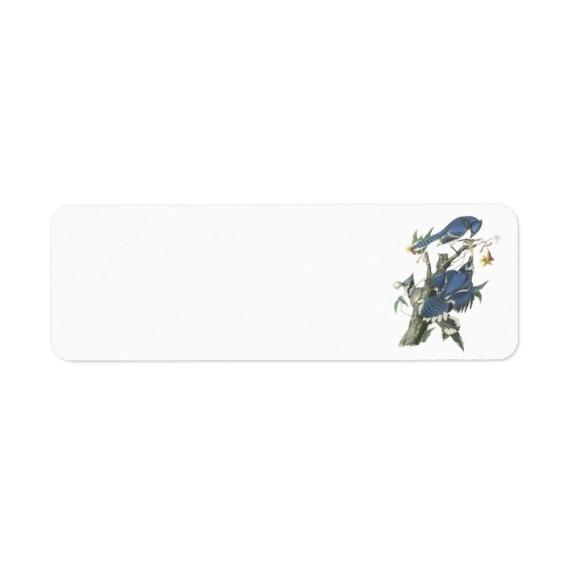 Étiquette Blue Jay par Audubon (Devant)