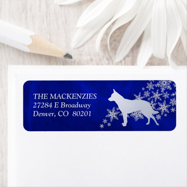 Étiquette Blue Winter Australian Cattle Dog Adresse de retou (En situation)