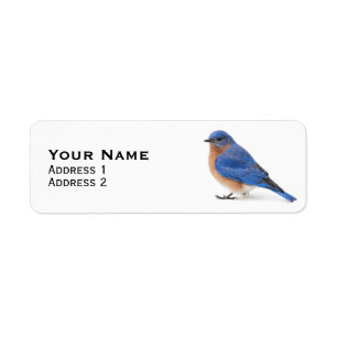 Étiquette Bluebird