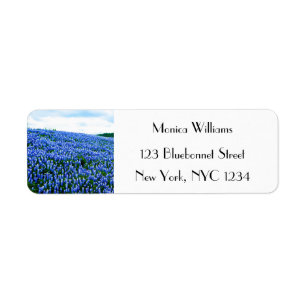 Étiquette Bluebonnets Blue Flowers Texas texan Floral Étique