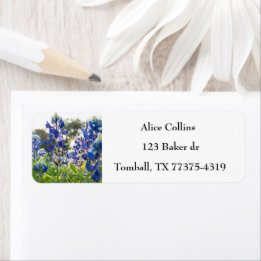 Étiquette Bluebonnets Texas State Flowers Lupine