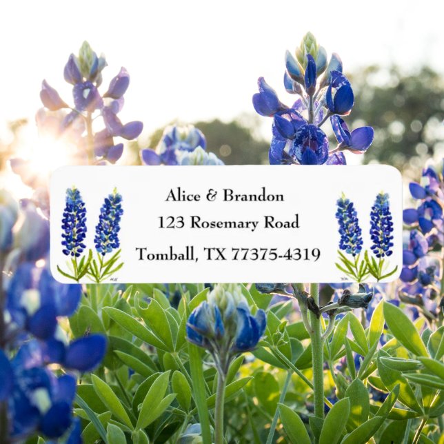 Étiquette Bluebonnets Texas State Flowers Lupine Watercolor (Créateur téléchargé)