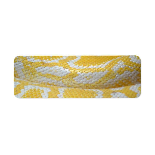 ÉTIQUETTE BOA BLANC JAUNE TEXTURES DE PEAU SNAKE REPTILES PA (Devant)