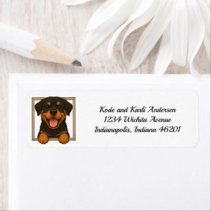 Étiquette Bonne adresse de retour Rottweiler