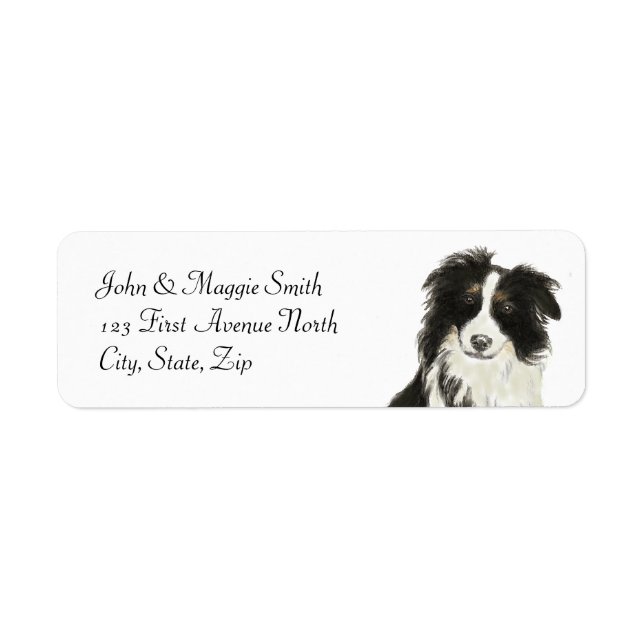Étiquette Bordure Collie Chien Animal animal animal animal N (Devant)