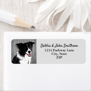 Étiquette Bordure Collie Chien Retour Adresse Animal Cute La