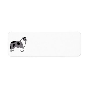 Étiquette Bordure Collie silo bleu merle et blanc